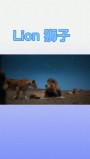 lion 狮子 的复数形式是什么