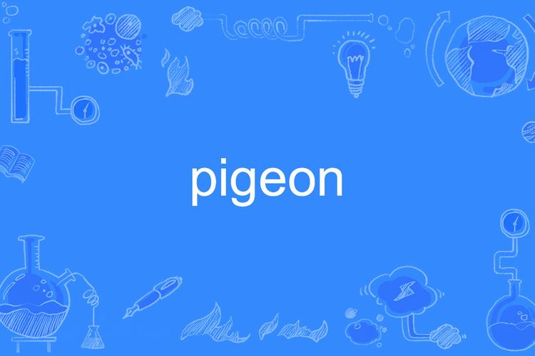 pigeon 鸽子 的复数形式是什么