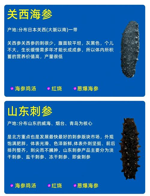 sea cucumber 海参 的复数形式是什么