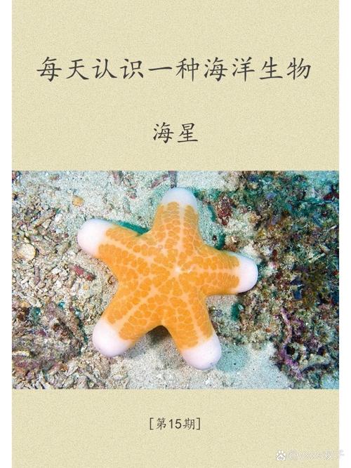 starfish 海星 的复数形式是什么