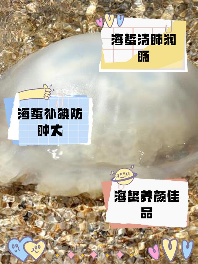 jellyfish 海蜇 的复数形式是什么