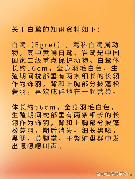 egret 白鹭 的复数形式是什么