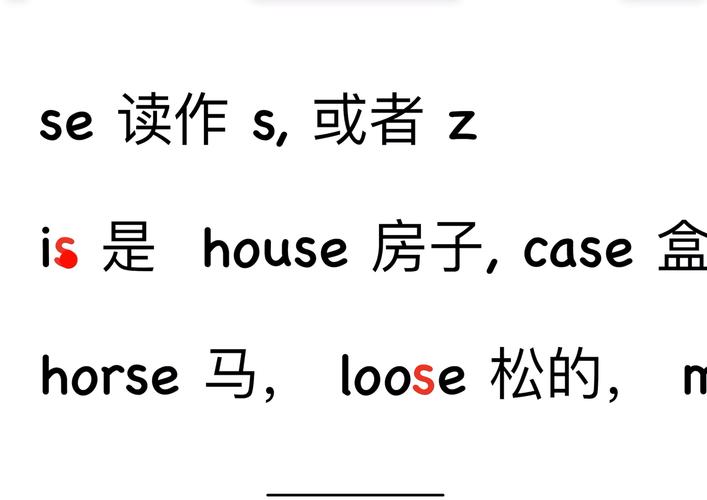 horse 马 的复数形式是什么