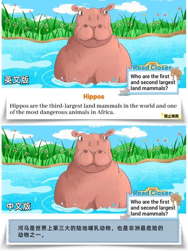 hippo 河马 的复数形式是什么